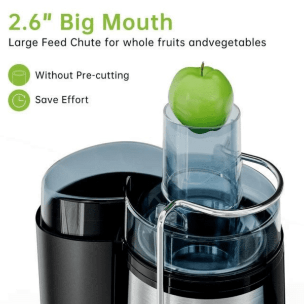 Dessini Juicer Extractor Machine - Image 2