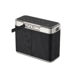 Vidvie Portable Outdoor Dual Microphone Speaker XL-SP914