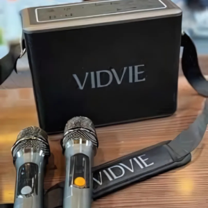 Vidvie Portable Outdoor Dual Microphone Speaker XL SP908