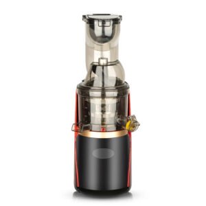 RAF Slow Juicer 150W R.2831