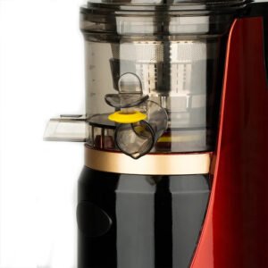 RAF Slow Juicer 150W R.2831