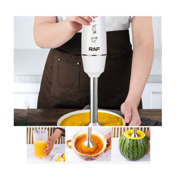 RAF Hand Blender 800W