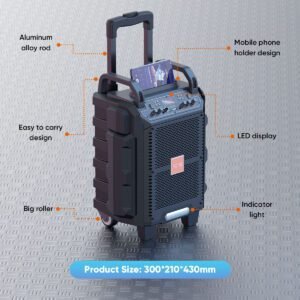 Vidvie Speaker SP916 Vidvie Speaker SP916