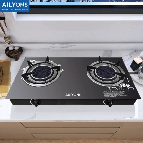 Ailyons Double Burner Gas Stove GS005A